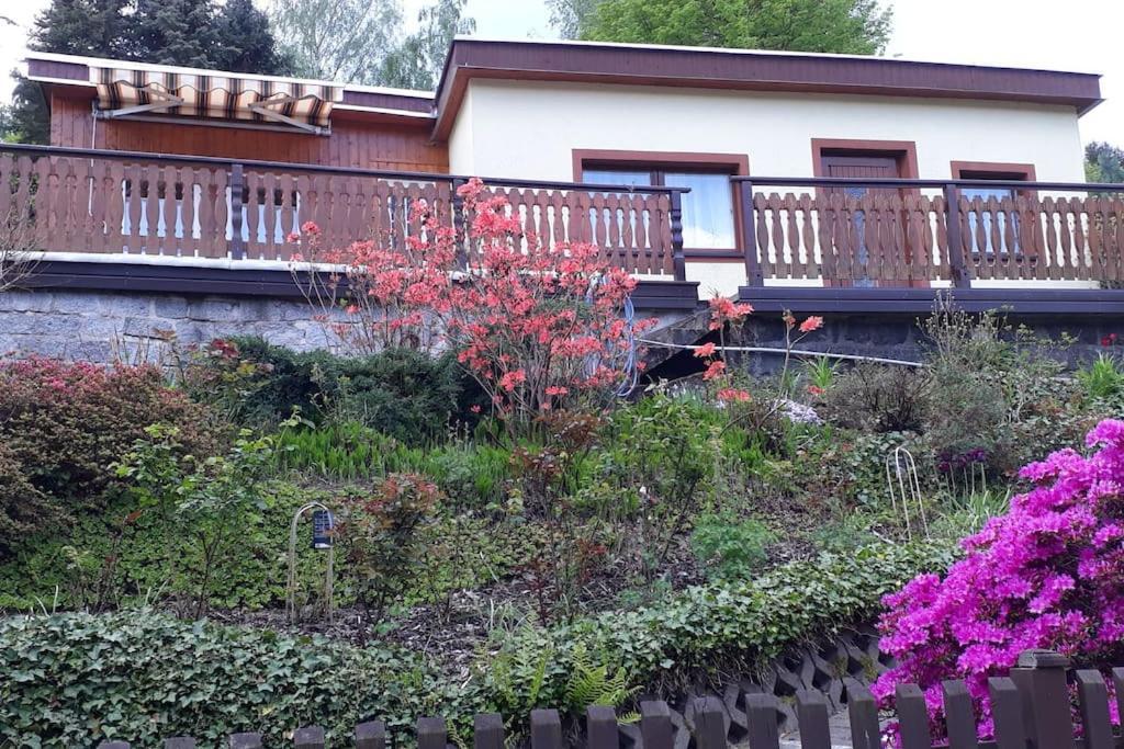 Bungalow Bluehende Oase Зебниц Екстериор снимка